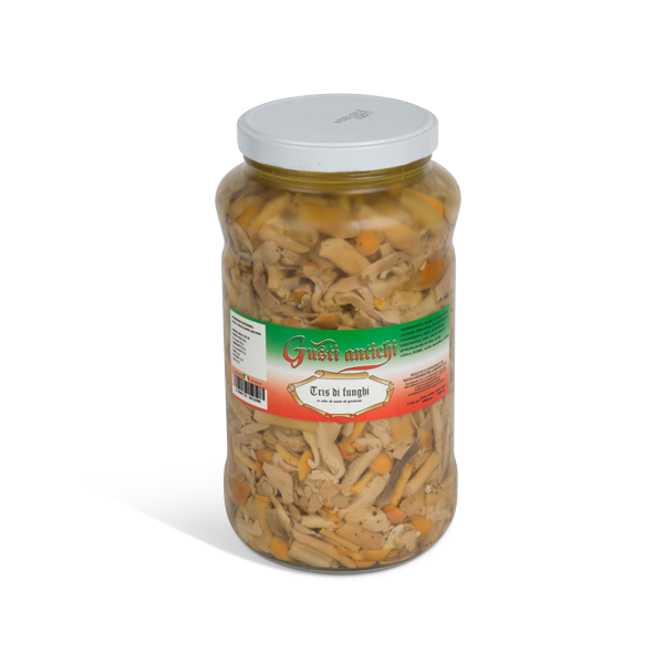 TRIS FUNGHI GUSTI ANTICHI DA 3,1 KG