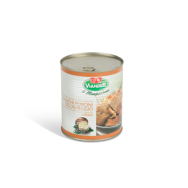 FUNGHI PORCINI TRIFOLATI VIANDER DA 800 GR